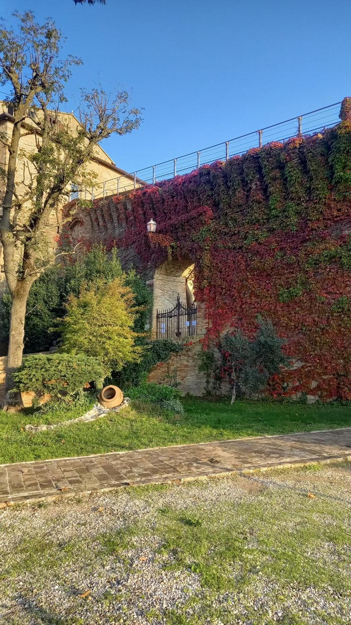 Apartmán Novecento Bertinoro Exteriér fotografie